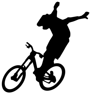 Logo SickMick 02